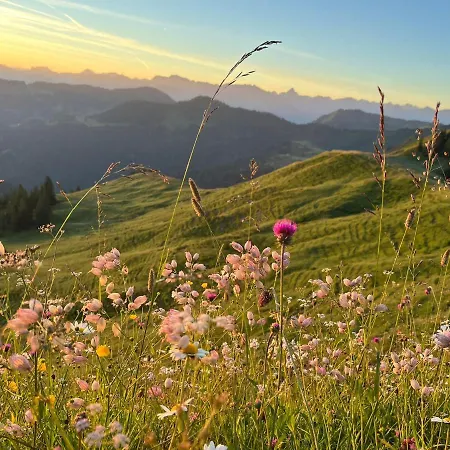 Διαμέρισμα Gipfel Stuben