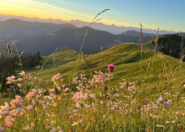 Διαμέρισμα Gipfel Stuben